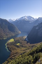 View of the Königssee with St. Bartholomä church, from the Rinnkendlsteig mountain hiking trail,