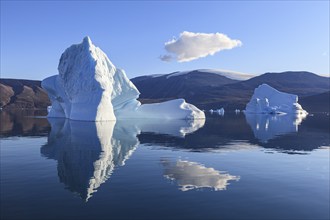 Icebergs in fjord off Bergen, sunny, Scoresby Sound, East Greenland, Greenland, North America