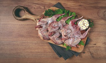 Raw quail meat, on a cutting board, with spices and herbs, top view