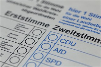 Close-up of a symbolic ballot paper