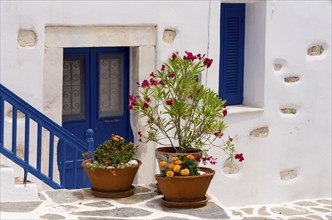 House entrance with floral decoration, Parikia, Paros, Klyklades, Greece, Europe