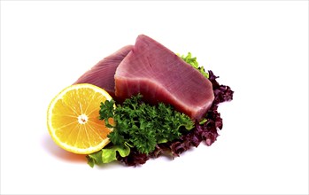 Raw steak, tuna fish, on a white background, close-up