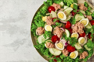 Tuna salad, vegetable salad with quail eggs, lettuce, red onion and cucumbers, on a light gray