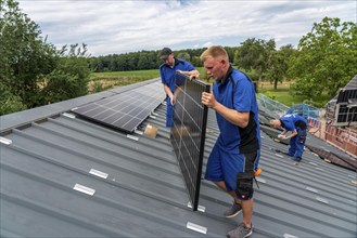 Installation of solar modules on the roof of a barn on a farm, over 240 photovoltaic modules are