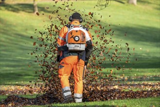 Leaf blower, removal of autumn leaves in a municipal park, Duisburg, North Rhine-Westphalia,