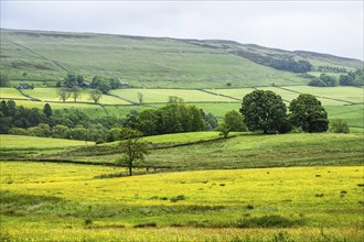 Farms over North Pennines, Cumbria, Durham, Northumberland, North Yorkshire, England, United