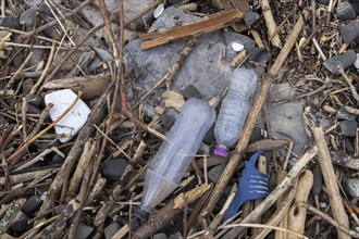 Symbolic image environmental pollution, plastic waste, rubbish, flotsam from a flood on the Neckar