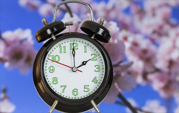 Symbolic image of the time change to summer time: close-up of an alarm clock in front of blooming