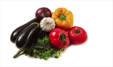 Set of vegetables, for the Turkish dish Imam Bayaldy, eggplant, tomatoes, herbs, sweet pepper, red