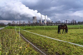 Paddock at the lignite-fired power station, RWE Power AG Niederaußem power station, near Bergheim,