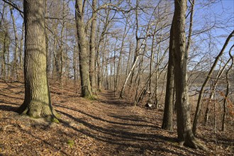 Hiking trail around the Sacrower See, Königswald, Potsdam, Brandenburg, Germany, Europe