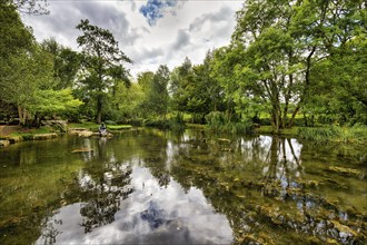 Pond in the Garden of St Fiachra, Gardens, Irish National Stud and Gardens, The Irish National Stud