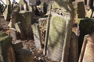 The Old Jewish Cemetery in the Josefov district is one of the most historically significant Jewish