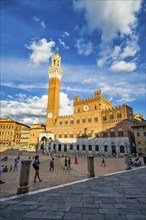 Piazza del Campo, Siena, Tuscany, Italy, Europe