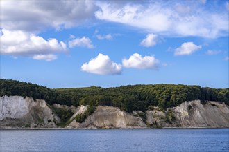 The chalk cliffs of Rügen, cliffs of the Stubbenkammer, in the Jasmund National Park, view of the