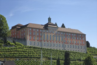 Droste-Hülshoff-Gymnasium with grapevines, Meersburg, Obersee, Lake Constance, Lake Constance area,