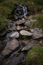 Small torrent, Almenweg, Klammeben, Hirzer near Saltaus, Schenna, Scena, Passeier Valley, South