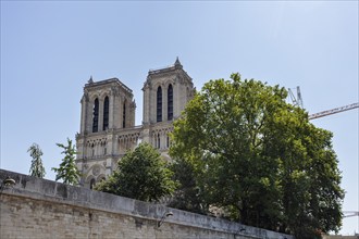 View of Notre-Dame Cathedral with its two towers and a tree in the foreground against a blue sky,