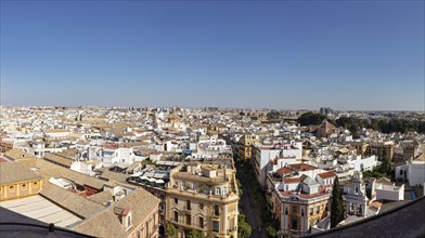 City panorama with many buildings and a clear blue sky, Seville