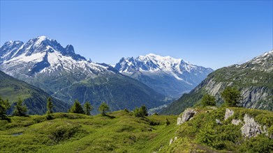 Mountain panorama with glaciated mountain peaks, Aiguille Verte with Aiguille du Midi and Mont