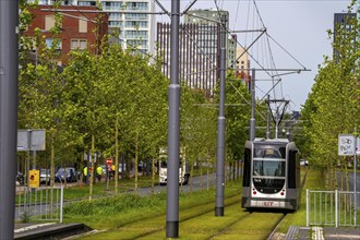 Urban greening, inner-city street Laan op Zuid, in Rotterdam's Feijenoord district, 4 lanes, 2 tram