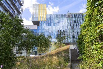 Green spaces around buildings, here at Hogeschool Inholland Rotterdam, plant beds at passageways,