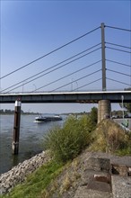 The Theodor-Heuss-Bridge, Rhine crossing, cable-stayed bridge, first road bridge of the so-called