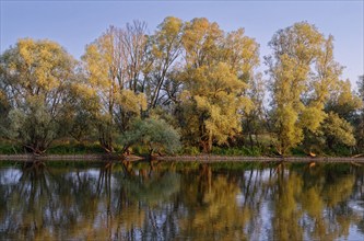 Evening light on the banks of the Czerwony Canal on the edge of the Warta Estuary National Park,