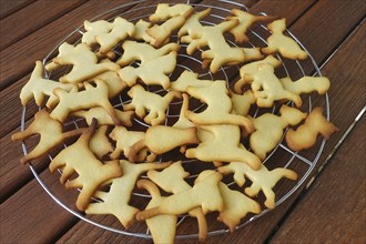 Swabian cuisine, Swabian Christmas biscuits, Ausstecherle, shortbread biscuits, cat figurines,