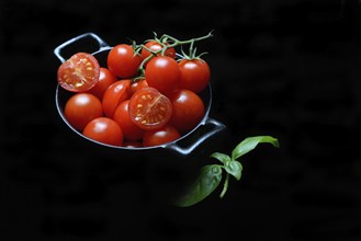 Cherry tomatoes in pots, cherry tomato, Solanum lycopersicum