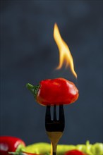 Burning red pepperoni on a fork, close-up, food photography