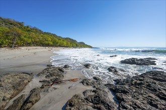 Tropical sandy beach with palm trees, Playa Montezuma, Montezuma, Nicoya Peninsula, Puntarenas