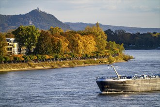 The Rhine near Bonn, on the left the riverside promenade of Bonn-Beuel in the background the