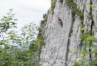 A woman climbs a route on the Spitzsteinwand in Erl, 14.07.2024