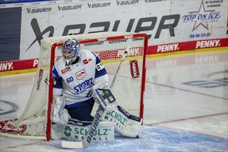 Goalkeeper Joacim Eriksson (Schwenninger Wild Wings) during the away game at Adler Mannheim on