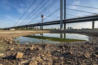 Rhine near Düsseldorf, extremely low water, Rhine level at 81 cm, falling, after a long drought the