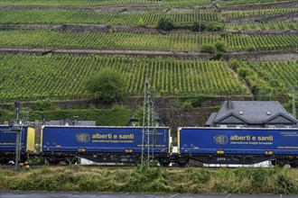 Upper Middle Rhine Valley, railway line on the right bank of the Rhine, goods train line, up to 400