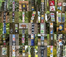 Collection of hiking signs, hiking trails, signposting of hiking tours, tour symbols mostly on