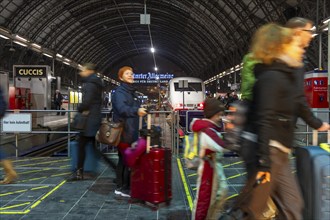 Frankfurt am Main main station, ICE train on platform, traveller, Hesse, Germany, Europe