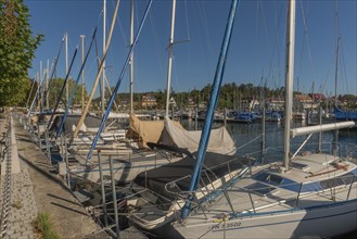Unteruhldingen, Lake Constance, marina, Baden-Württemberg, Germany, Europe