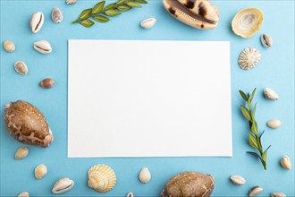 Composition with white paper sheet, seashells, green boxwood. mockup on blue pastel background.