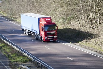 MAN Transport and Forwarding heavy good vehicle on A12 road, Suffolk, England, United Kingdom,