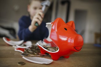 Symbolic photo on the subject of saving. A boy smashes his savings slip and counts the money it