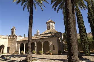 Historic mosque in the Alcazar, Jerez de la Frontera, Spain, Europe