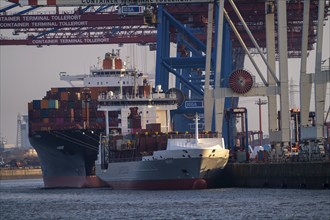 Container terminal Tollerort, container ships are loaded and unloaded, one of 4 container terminals