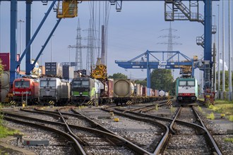 Locomotives of container trains, in Duisburg harbour, Logport, goods trains being loaded, part of