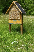 Insect hotel, wildflower meadow at the park cemetery in Essen, the city's largest cemetery, North