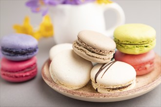 Multicolored macaroons with spring snowdrop crocus flowers on gray pastel background. side view,