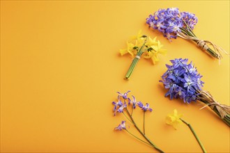 Spring snowdrop flowers bluebells, narcissus on orange pastel background. side view, copy space,