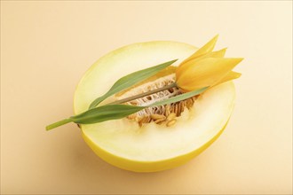 Sliced ripe yellow melon and tulip flower on orange pastel background. Side view, close up.